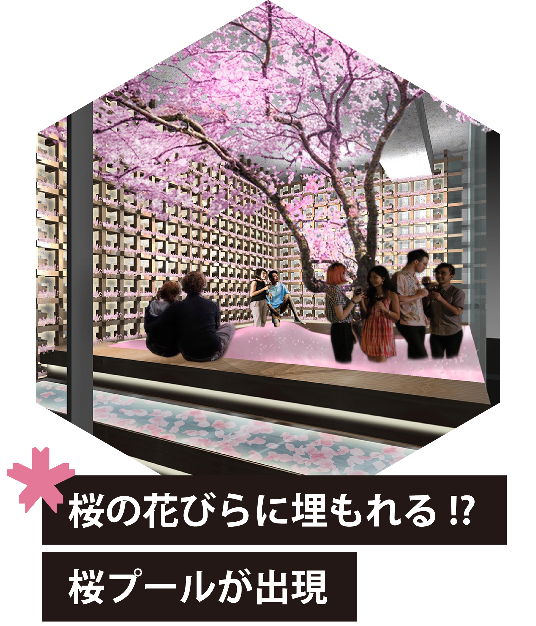 桜舞い散るチルアウトバー Sakura Chill Bar By 佐賀ん酒 が表参道に期間限定オープン Tip Room